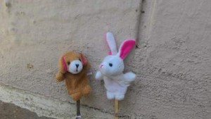 bruno & bunny